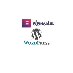 formation Elementor/Wordpress